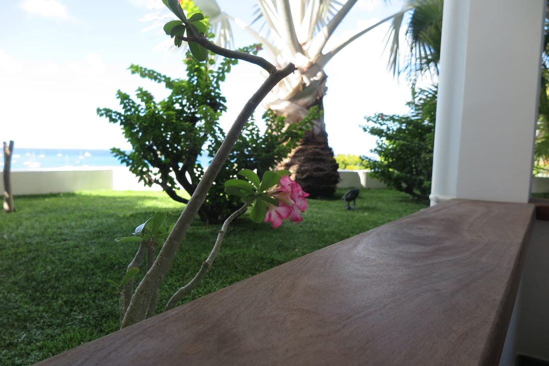 Garden and sea