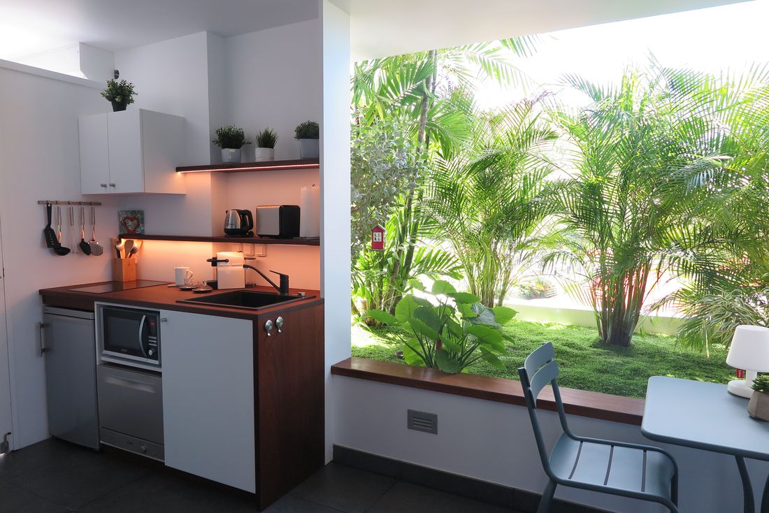 Kitchen opening onto the garden